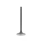 Engine Intake Valve-vin: Z, Dohc, Duratec, 16 Valves Dnj IV432 New. Price: $16.49.