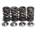 Kibblewhite Lightweight Racing Valve Spring Kit 82-82012 Predator/outlaw 500 New. Price: $138.95.