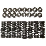 Brian Crower Dual Valve Springs Ti Retainers For Acura B18A1 New. Price: $423.43.