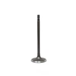 Engine Intake Valve Dnj IV4242 New. Price: $13.62.