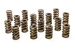 Racing PAC-1200 Circle Track Valve Springs New. Price: $249.10.