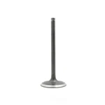 Engine Intake Valve-ohv, Magnum, 16 Valves Dnj IV1130 New. Price: $18.38.