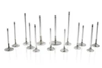 Ferrea Chevy Sb 2.08IN 11/32IN 5.3IN 0.25IN 12 Deg S-flo Competition Plus Intak New. Price: $312.64.