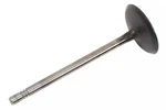 Genuine Gm Engine Intake Valve 12647867 New. Price: $18.42.