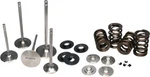 Ferrea KT4002 Fits Acura/honda B18/B16 High Pressure Dual Spring Kit New. Price: $958.69.