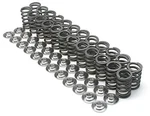 Brian Crower BC0070 Spring & Titanium Retainer Kit (honda D16Y8/D16Z6 Single) New. Price: $307.08.