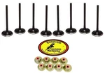 Polaris Rzr Xp 900 Replacement Valves Kibblewhite Stainless Intake Exhaust New. Price: $244.14.