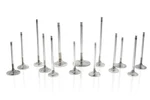 Ferrea F2430P Competition Plus Exhaust Valve For 2019-2023 Toyota Supra B58 3.0L New. Price: $524.95.