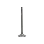 Intake Valve Dnj Engine Components IV219 New. Price: $14.51.