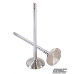 Gsc Power 2195-6 Exhaust Valves For Toyota G16E-GTS Engine New. Price: $201.16.