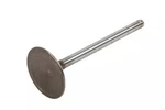 Genuine Gm Engine Intake Valve 12616697 New. Price: $94.40.