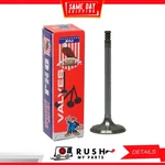 01-09 Intake Valve For Audi Volkswagen A8 2.8L-6.0L W12 Dohc 48V Dnj IV821 New. Price: $2999.99.