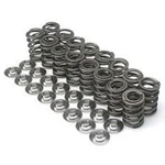 Brian Crower BC0210 Spring & Titanium Retainer Seat Kit (nissan KA24DE Dual) New. Price: $469.09.