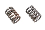 New Oem Ford E7DZ-6513-A Valve Springs Qty 2 Nos. Price: $11.99.