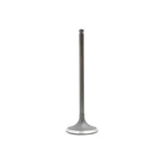 Intake Valve Dnj Engine Components IV223 New. Price: $14.22.
