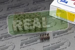 Ferrea 80LBS Dual Valve Springs 6G72TT 3000GT Mitsubishi S10037-24 New. Price: $727.92.