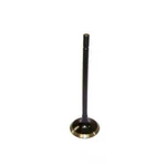 Engine Exhaust Valve-vin: A, Dohc, 32 Valves Dnj EV4162 New. Price: $22.33.