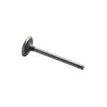 Reliance Power Products M31431681 Intake Valve New. Price: $24.39.