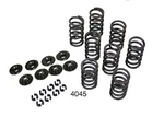 Empi 4045 High Rev Single Valve Spring Kit Vw Dune Buggy Beetle Thing Ghia New. Price: $91.97.