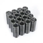 SKUNK2 Racing Alpha Series Valve Springs Set For Honda D15 D16 Sohc Vtec New. Price: $167.53.