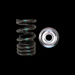Brian Crower BC0040 Dual Valve Spring & Titanium Retainer Kit For 2000-09 Honda New. Price: $488.00.