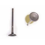 Dnj EV151 Engine Exhaust Valve New. Price: $18.99.
