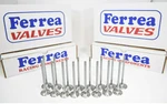 Ferrea 6000 Series Valves Std For Mitsubishi Eclipse Turbo 4G63T 1G 2G Evo New. Price: $339.00.