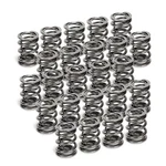 Supertech SPR-H1005D-24 Dual Valve Springs For 1997 2005 Acura Nsx C32B 3.2L V6 New. Price: $370.95.