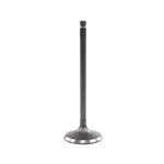 IV4235 Dnj Intake Valve Lincoln Mkc Ford Mustang Mkt Explorer Mkz Edge Focus New. Price: $27.14.