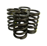Sealed Power VS-1601 Set Of 4 Engine Valve Spring VS1601 New. Price: $22.05.