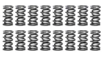 Racing PAC-1237X-16 1.274 Dual Valve Springs (16) Gm Ls New. Price: $497.45.