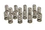 Racing PAC-1220X-16 1.445 Valve Springs Ovate Beehive (16) New. Price: $307.94.