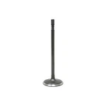 Intake Valve Dnj Engine Components IV1169 New. Price: $16.70.