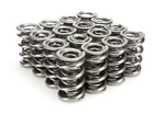 1.660 Triple Valve Springs Tool Room Steel Isky Cams 1249ML New. Price: $737.98.