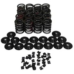Howards Cams 98412-K11 Performance Valve Spring & Retainer Kit Od: 1.445 In. Id: New. Price: $189.99.
