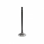 IV4263 Dnj Intake Valve For Volvo S60 XC60 V60 Cross Country C70 C30 S40 V50 V70 New. Price: $26.40.