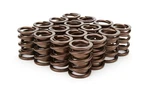 Isky 3105D 1.490 Valve Springs New. Price: $239.40.