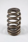 Racing 1200 Series Valve Spring PAC-1219-16 New. Price: $225.60.