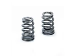 Supertech For SPR-MC56BE-16 Mini Cooper Beehive Valve Springs Set Of New. Price: $235.99.