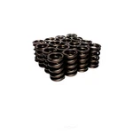 Engine Valve Spring Kit Comp Cams 927-16 New. Price: $696.86.