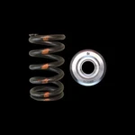 Brian Crower BC0400 Springs + Ti Retainers Ford Duratec Mazda Mzr 2.3L 2.5L New. Price: $310.12.