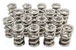 Racing Springs 1.514 Dual Valve (16) PAC-1331-16 New. Price: $615.12.