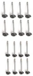 Valves SET/16 Intake+exhaust For 1968-1974 Buick 350+1969-1971 Jeep V8 New. Price: $179.84.