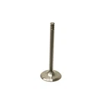 39486 Trw Intake Valve For Vw Volkswagen Jetta Beetle Golf Passat 1996-1997 New. Price: $24.95.