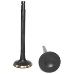 EV624A Dnj Exhaust Valve For Nissan Xterra Frontier Altima 1998-1999 New. Price: $26.85.
