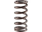 For 2001-2003 Freightliner FLD120 Valve Spring Outer 98361CPPV 2002 New. Price: $17.49.