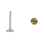 Dnj EV808 Engine Exhaust Valve For Select 93-06 Audi Volkswagen Models New. Price: $19.99.