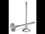 Supertech Inconel Exhaust Valves For Mazda Mzr 2.0 / 2.3 2.5 MAEVI-2304-8 New. Price: $304.91.