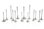 Ferrea F2431P Toyota/fits Bmw B58 3.0L 30.1MM 4.97MM 99.15MM 19 Deg Comp Valve New. Price: $360.89.