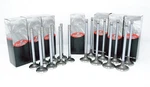 Fits 1994-2001 Acura Integra 1.8L Dohc L4 B18C1,5 Intake & Exh Valves New. Price: $140.00.